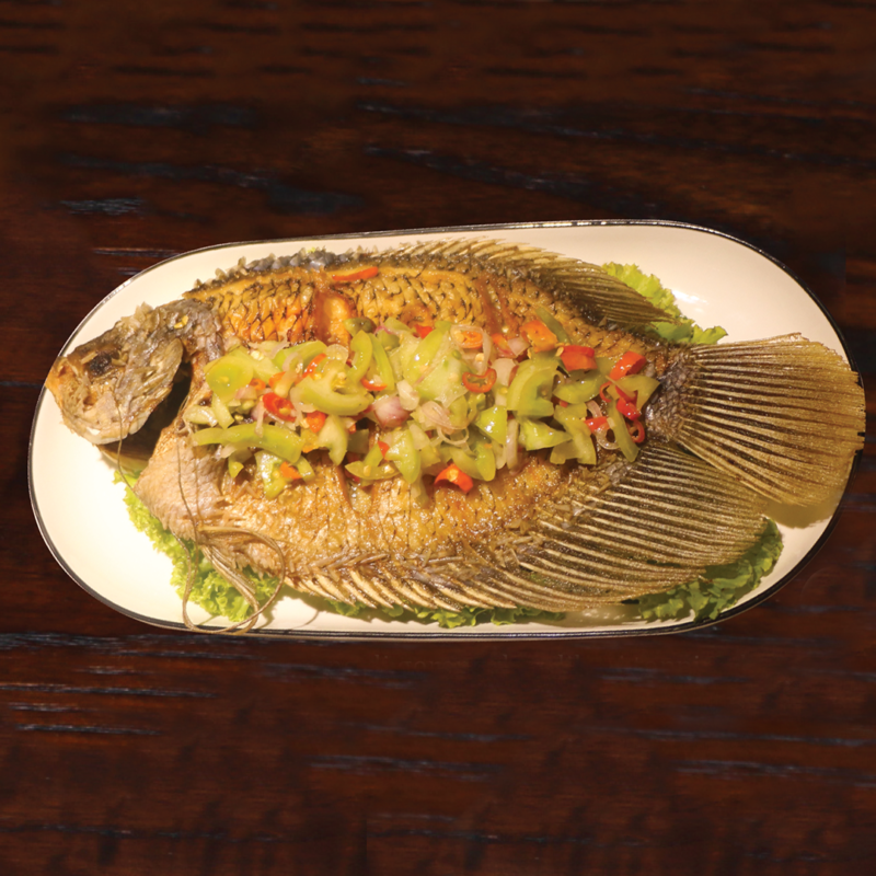 Ikan Gurame Dabu-Dabu